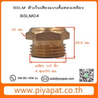 BSLM04 รูปโชว์4